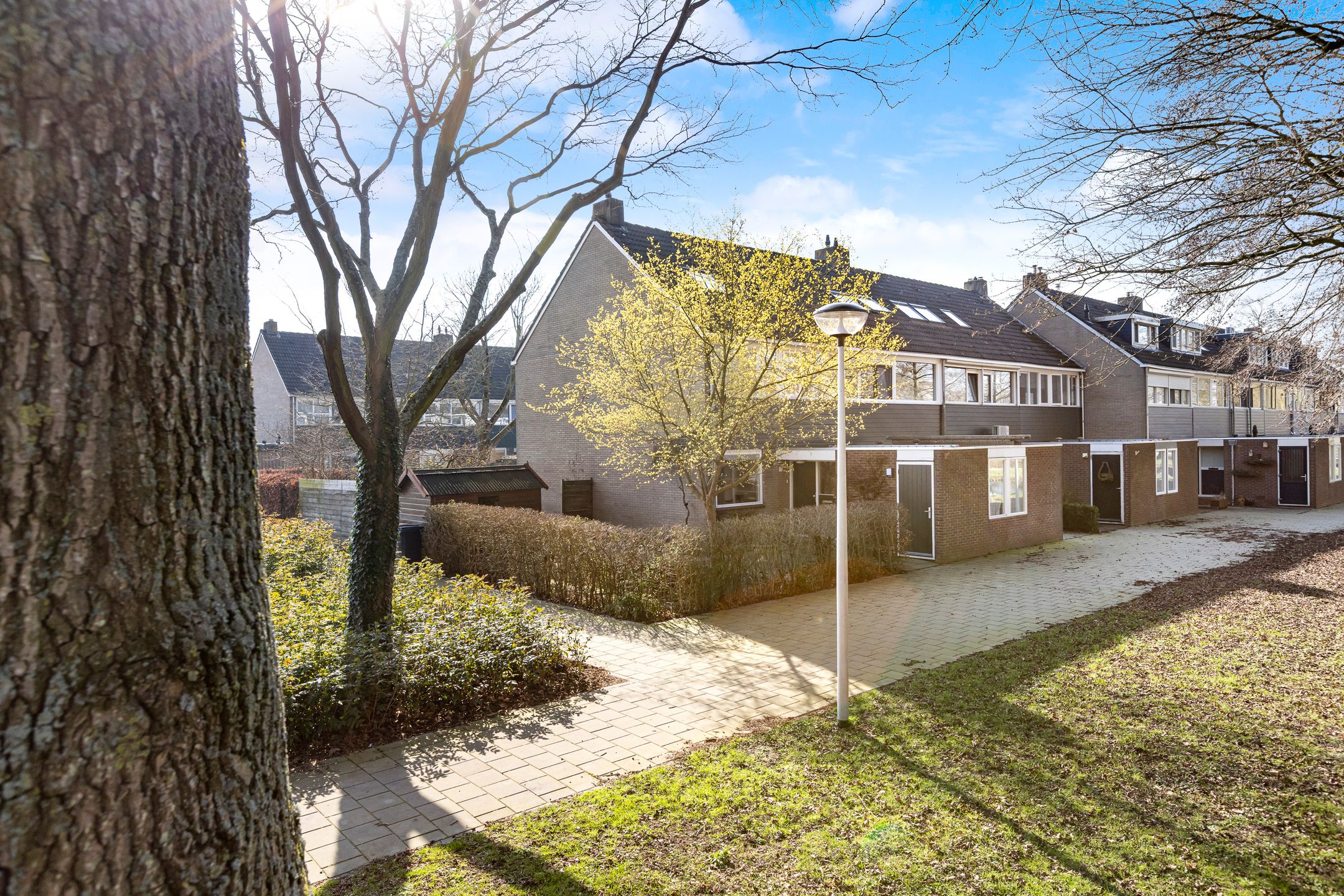 Foto 42 van Gouden Regen 17