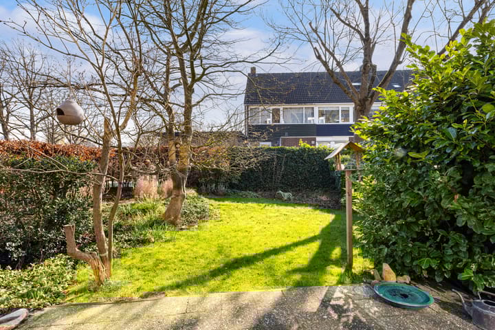 Photo 4 of Gouden Regen 17