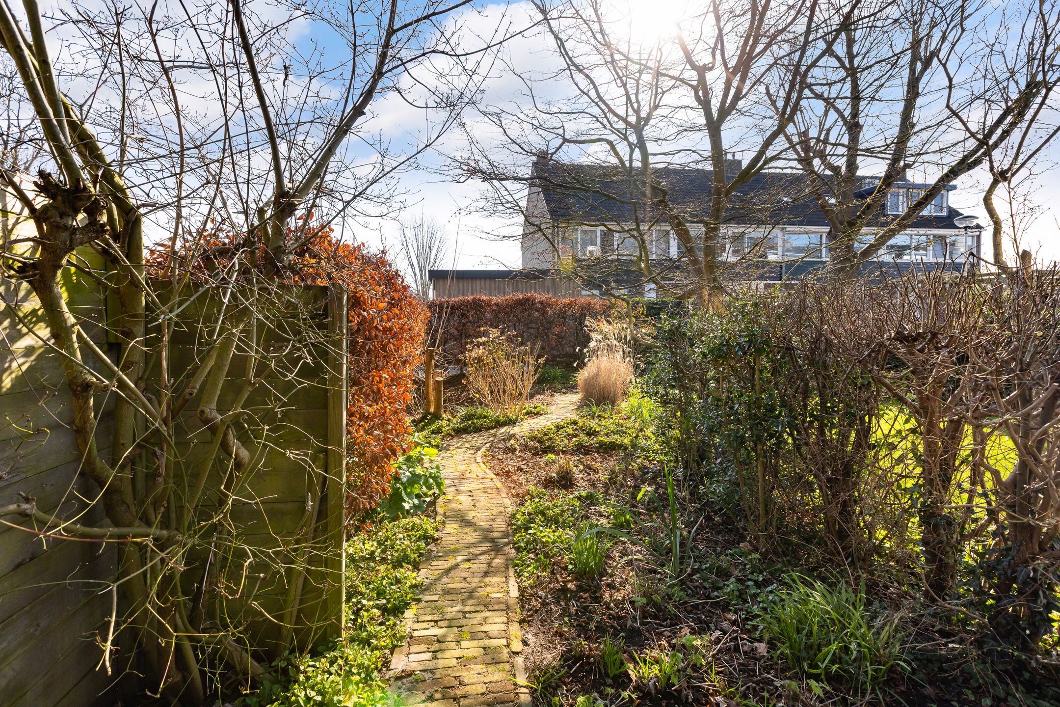 Foto 9 van Gouden Regen 17