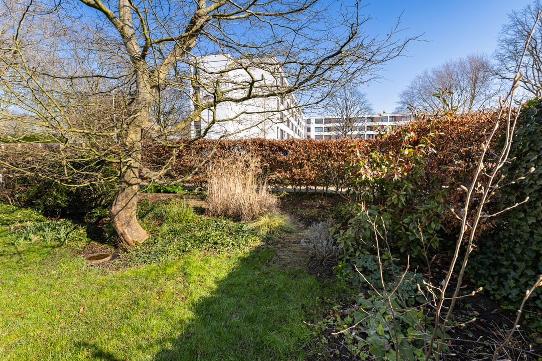 Foto 8 van Gouden Regen 17