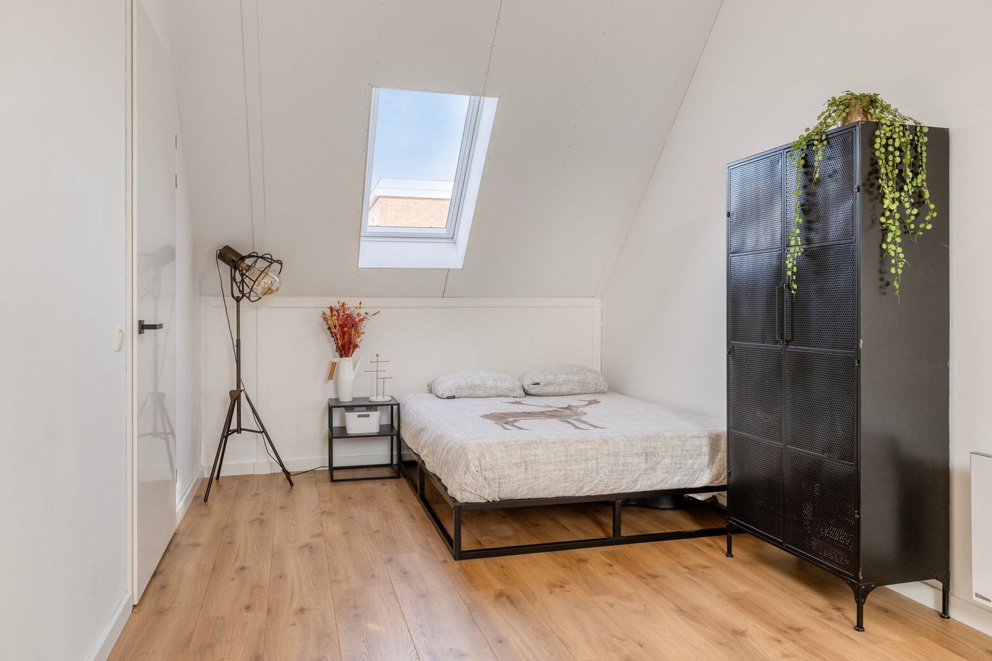 Foto 29 van Cellostraat 87