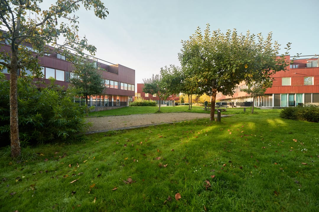 Foto 38 van Baars 63