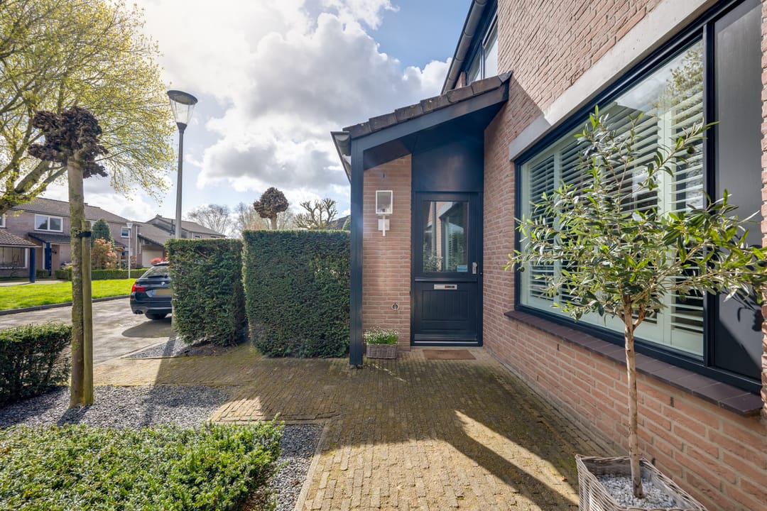 Photo 8 of Nemelaer 11