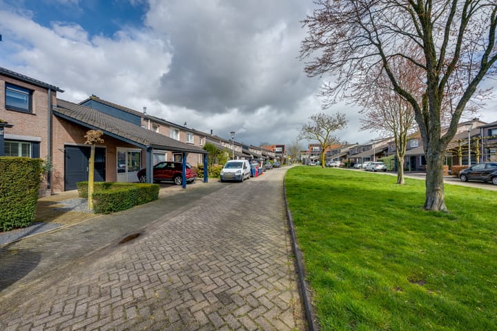 Photo 4 of Nemelaer 11