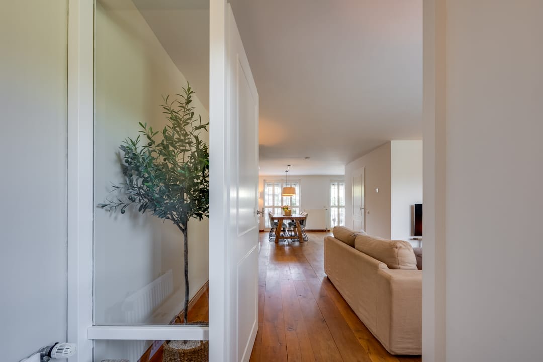 Photo 11 of Nemelaer 11