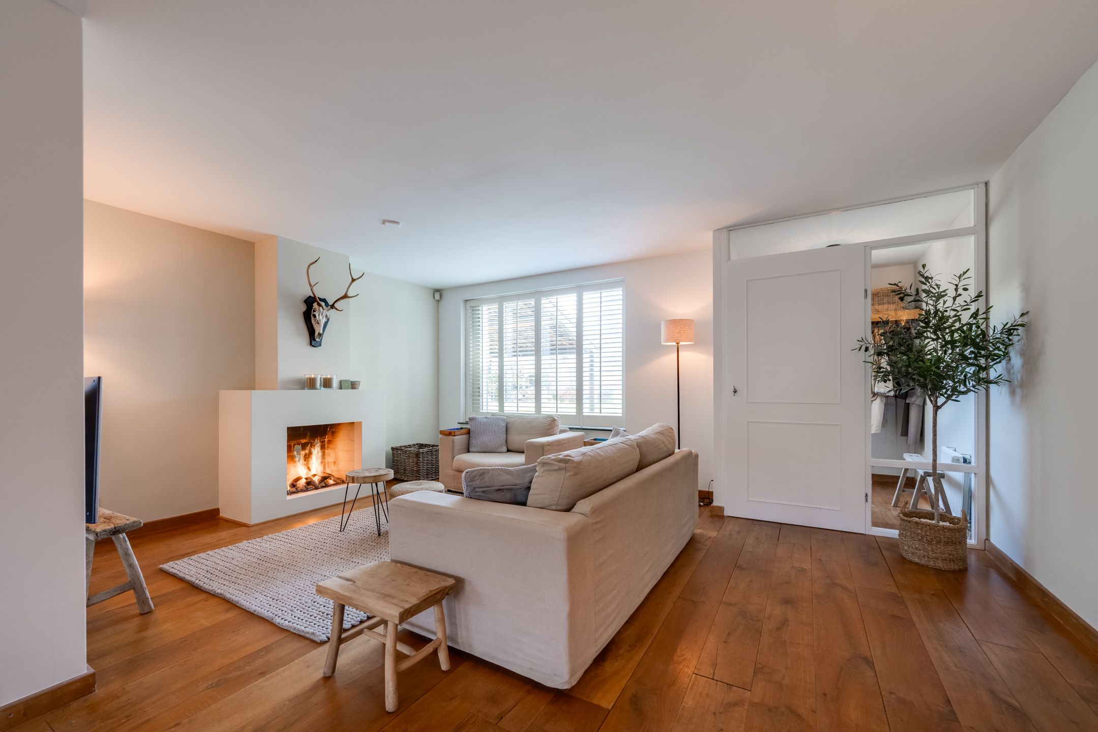 Photo 15 of Nemelaer 11