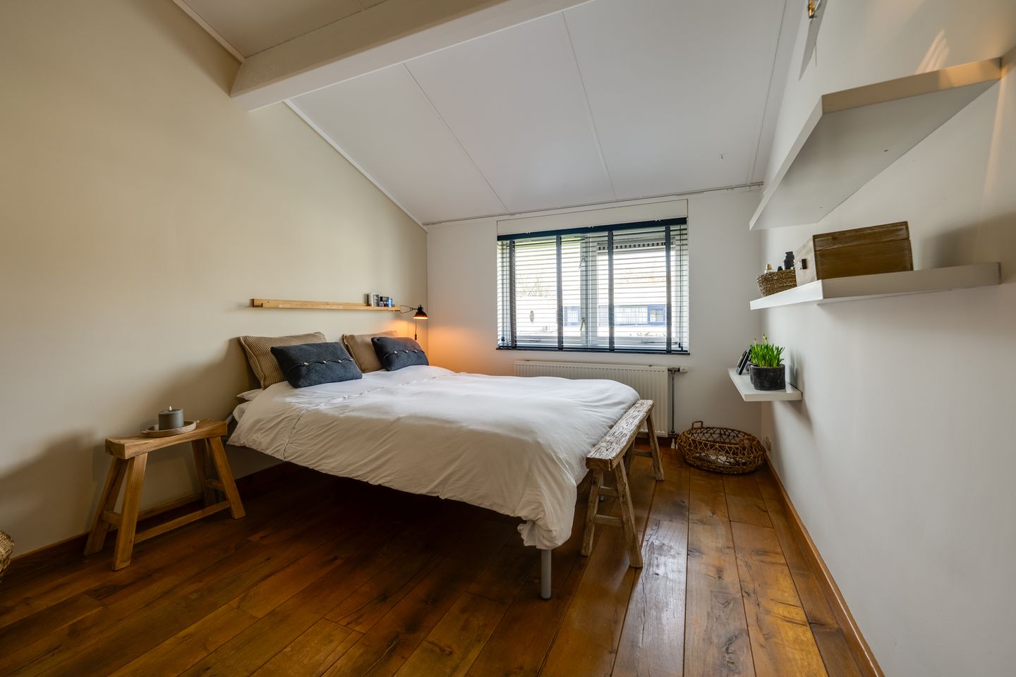 Photo 34 of Nemelaer 11