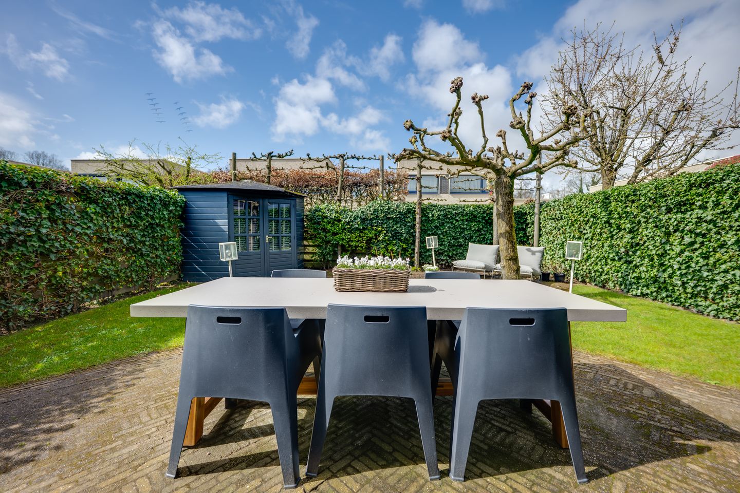 Photo 44 of Nemelaer 11