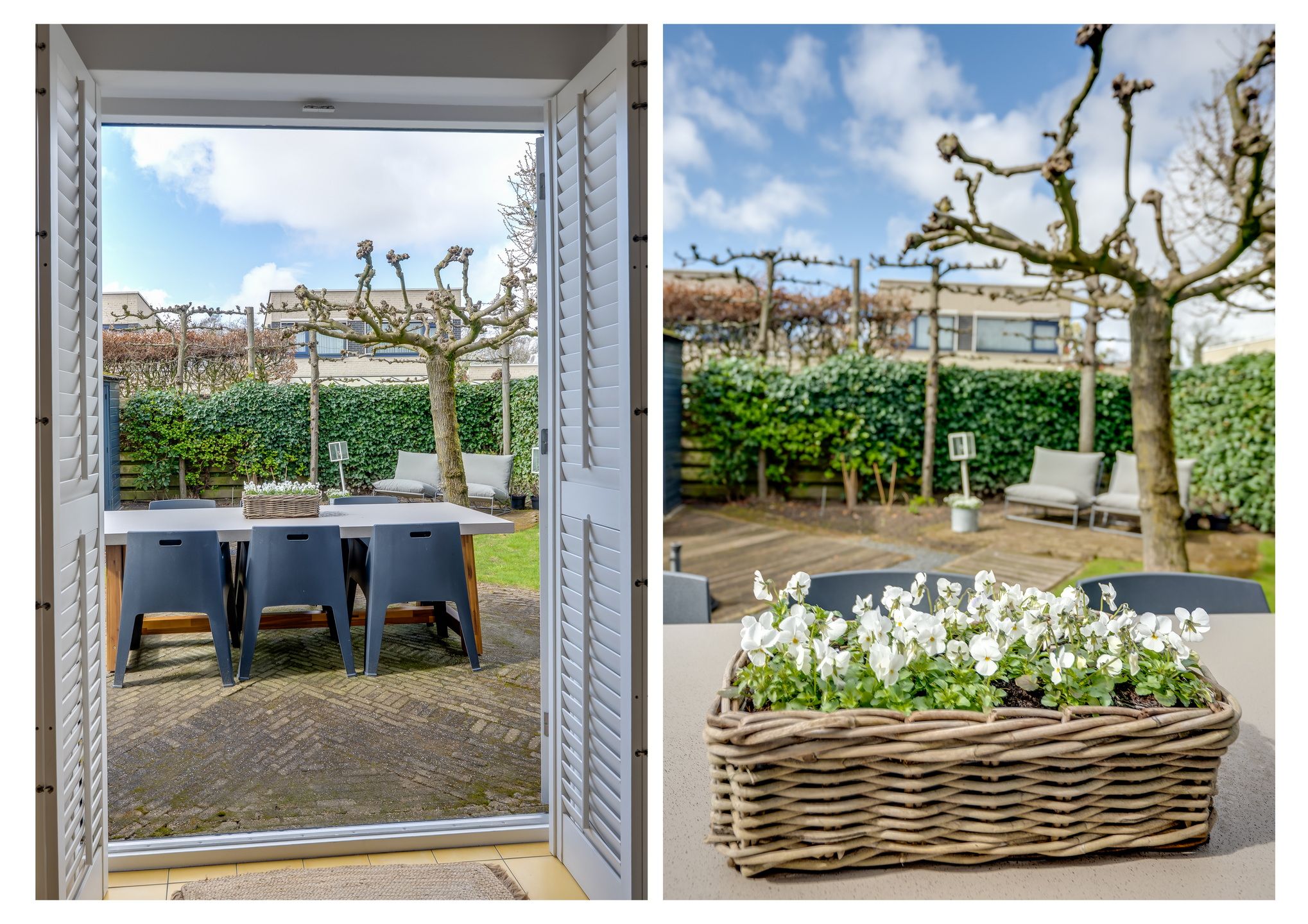 Photo 45 of Nemelaer 11