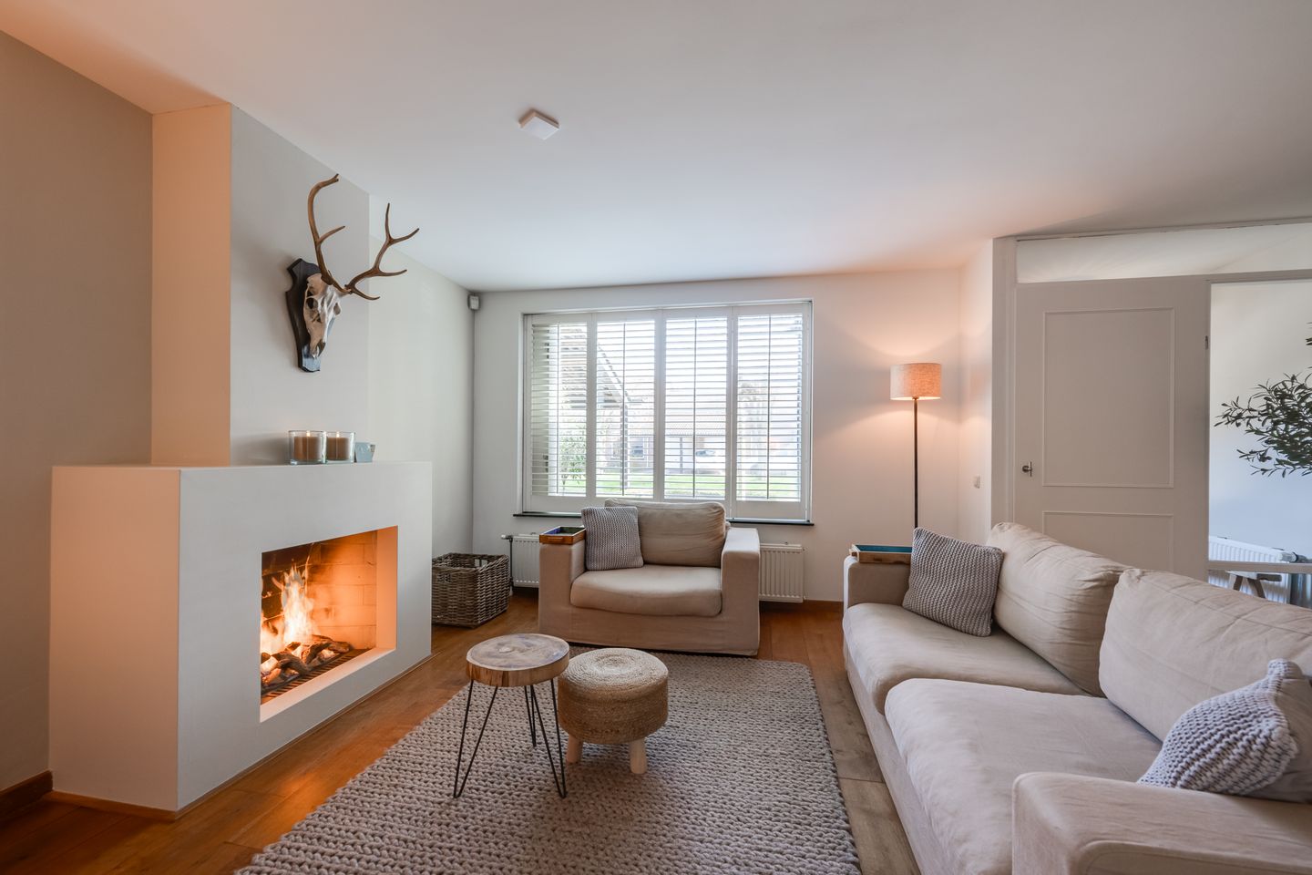 Photo 14 of Nemelaer 11