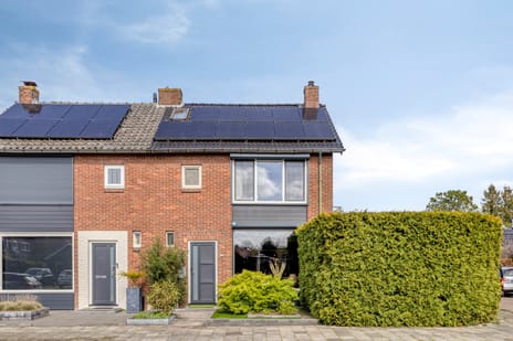 undefined main image