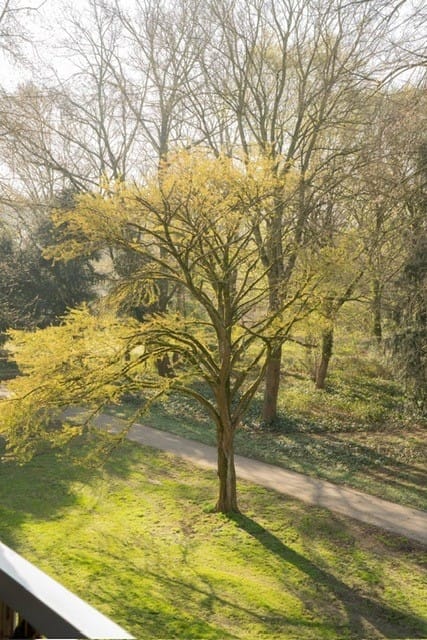 Photo 23 of Forcadentstraat 50-B