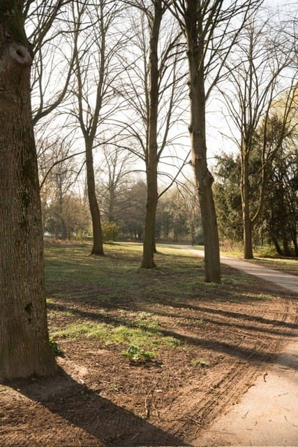 Photo 24 of Forcadentstraat 50-B