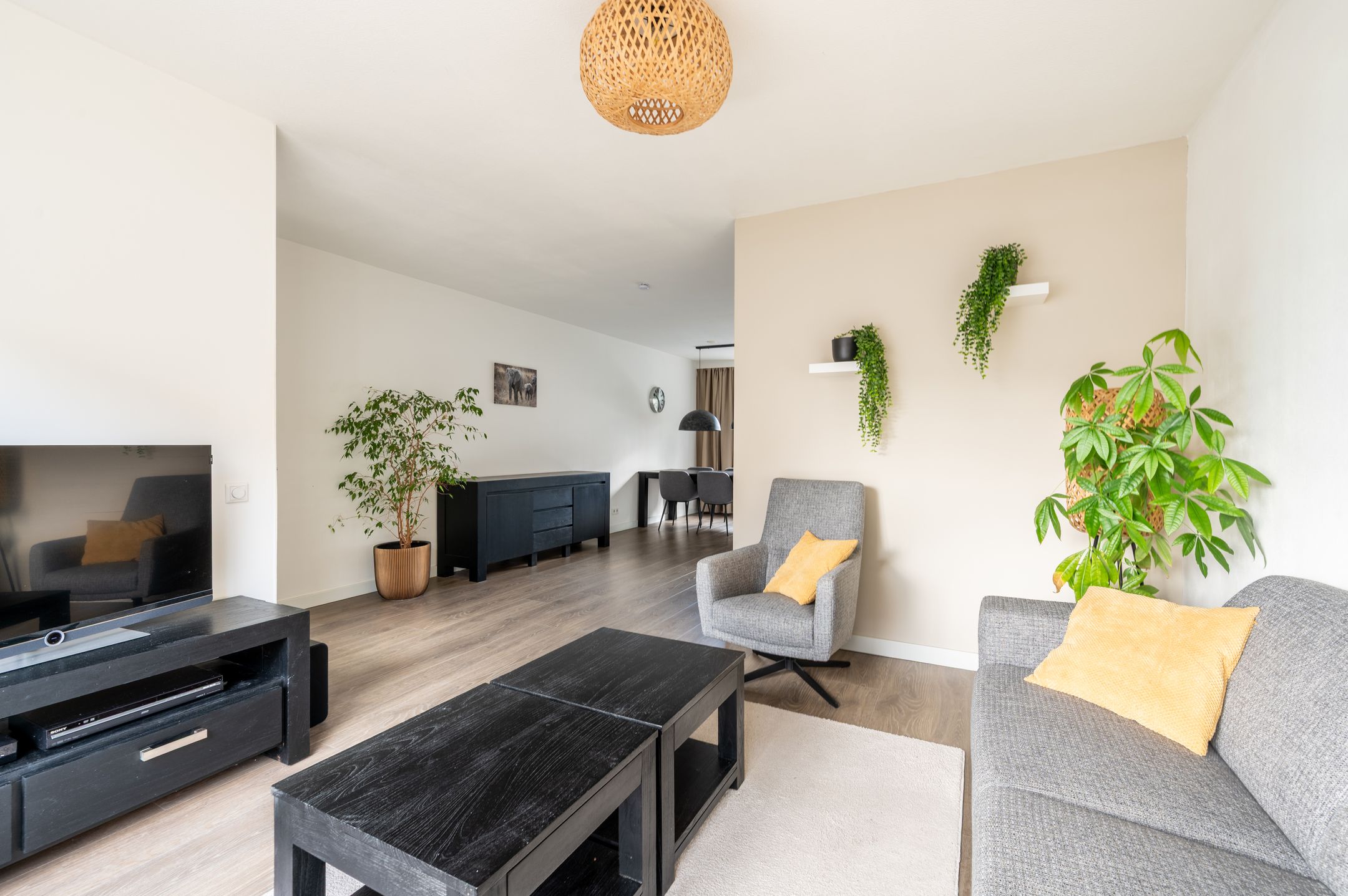 Foto 12 van Hoge Dries 46