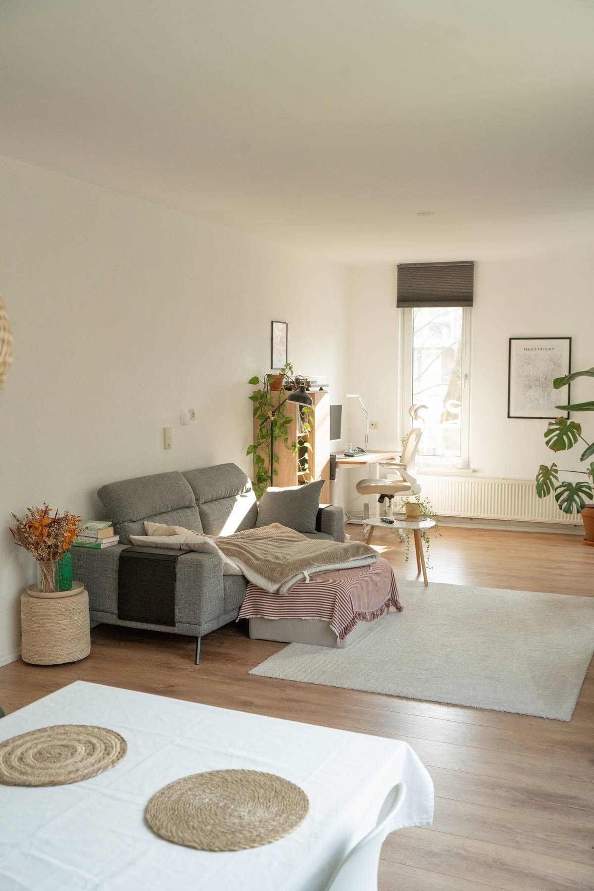 Photo 10 of Forcadentstraat 50-B