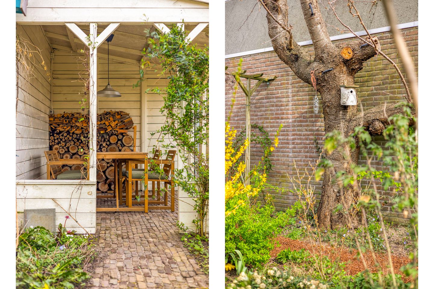 Photo 29 of Willemstraat 34