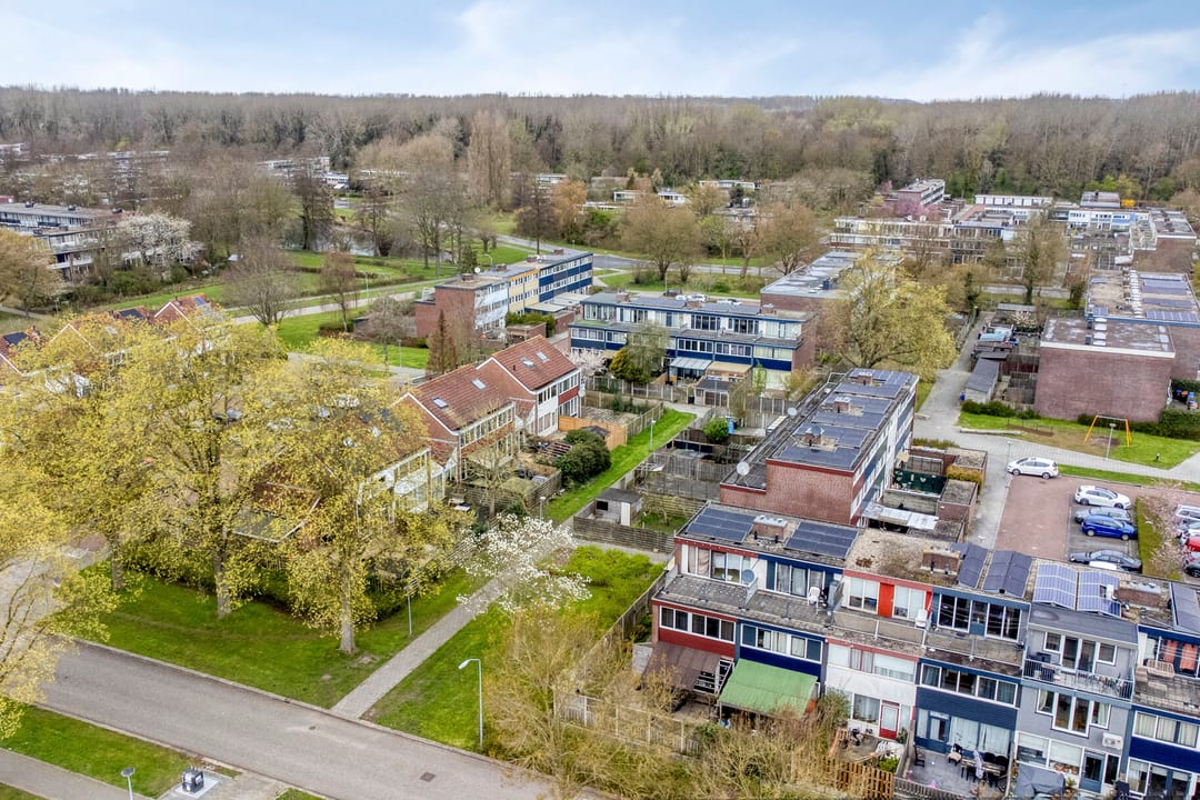 Foto 2 van Malzwin 36