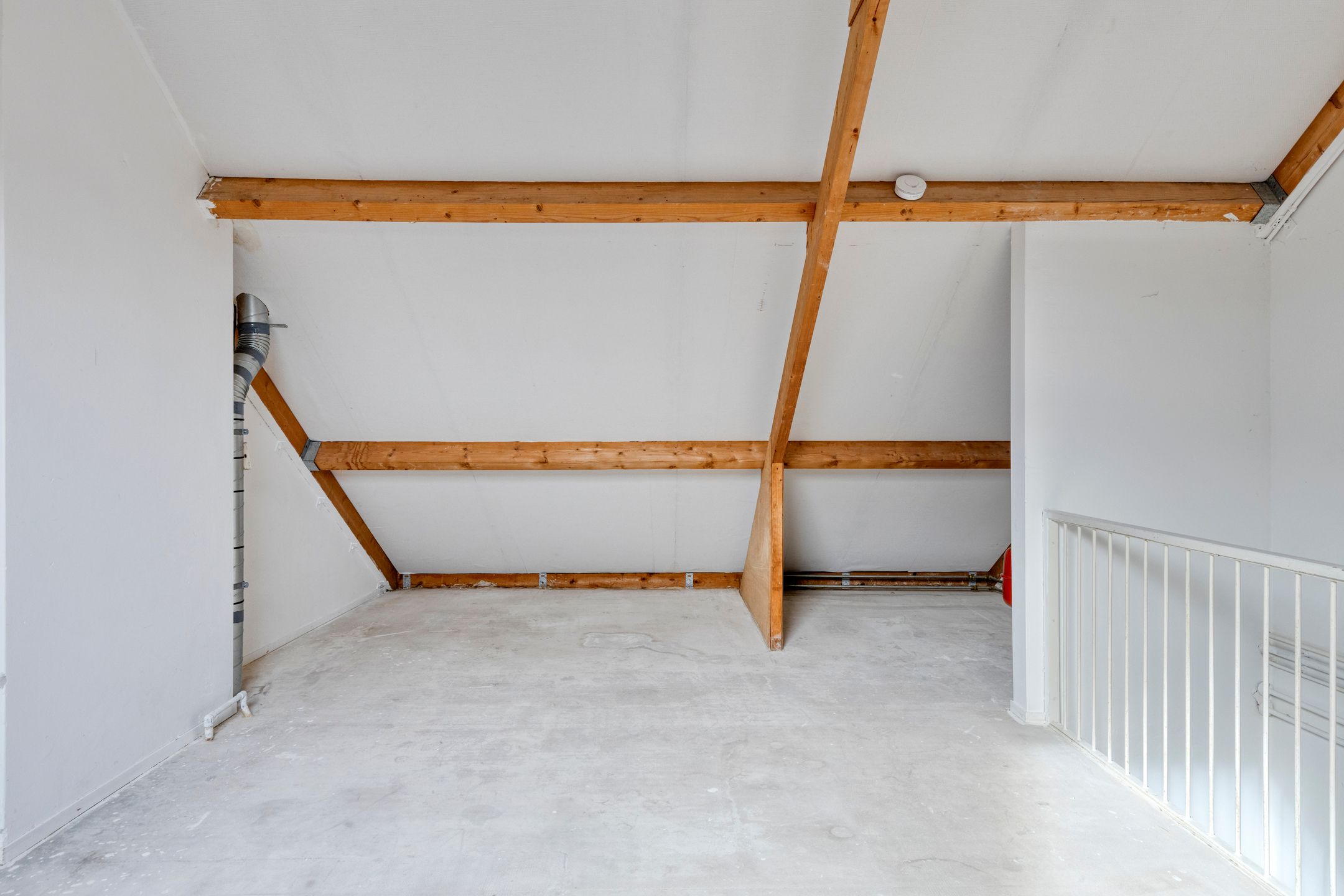 Foto 24 van Malzwin 36