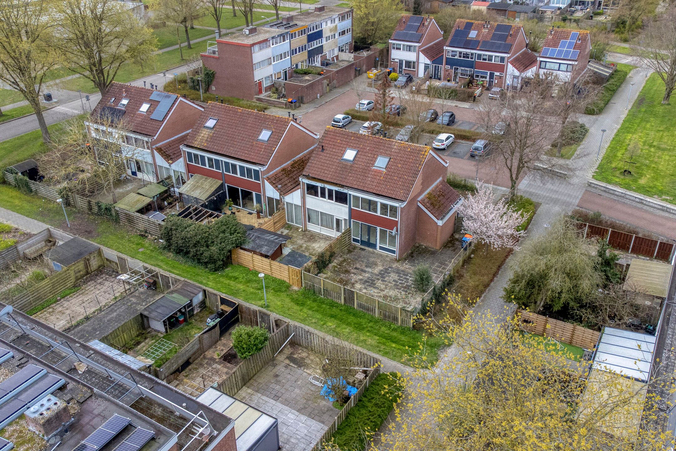 Foto 3 van Malzwin 36