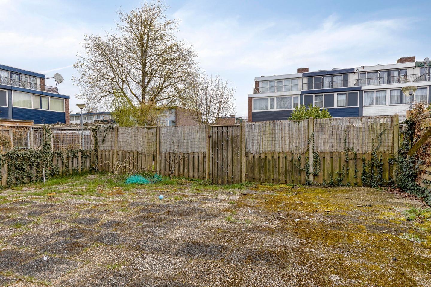 Foto 25 van Malzwin 36