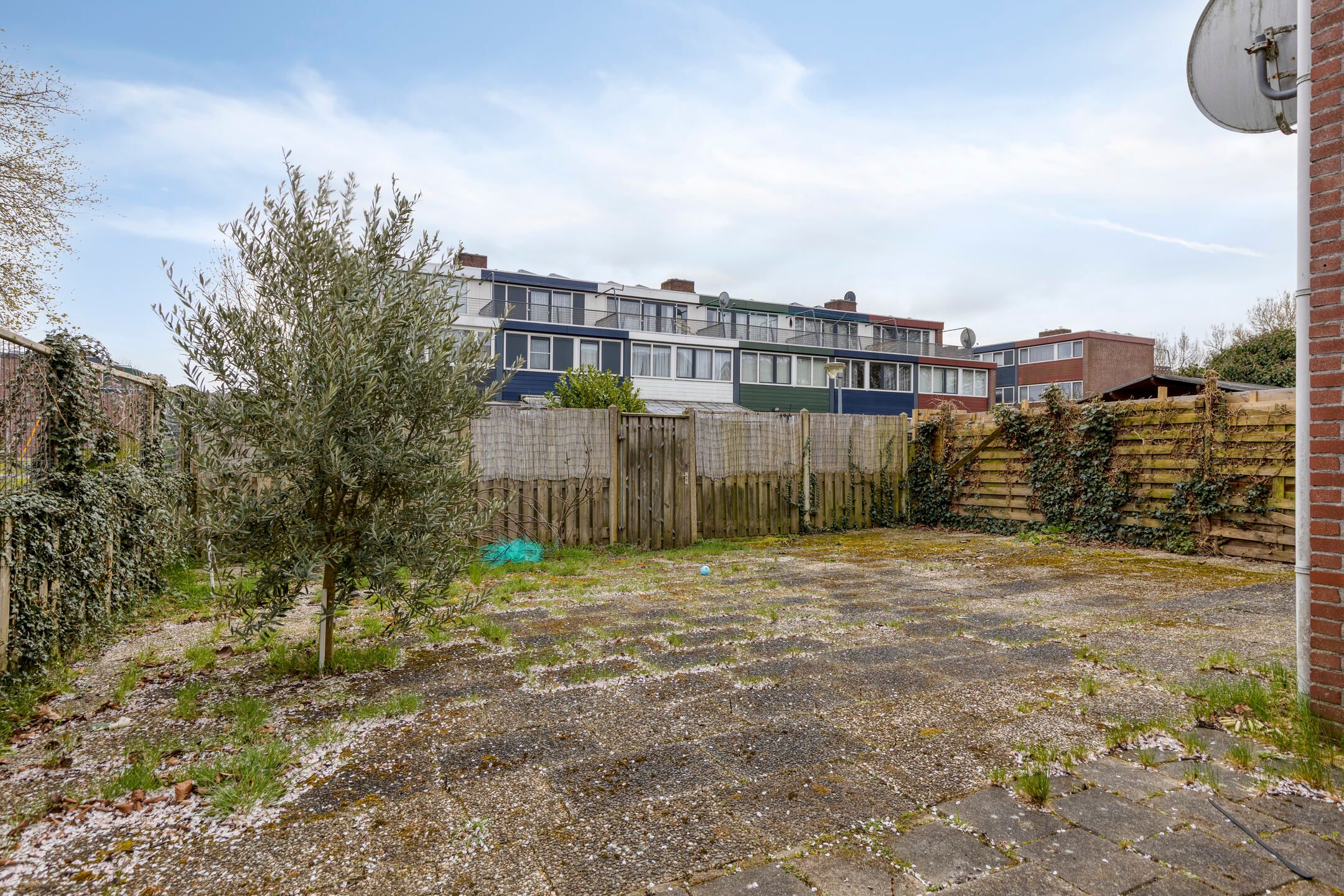 Foto 27 van Malzwin 36