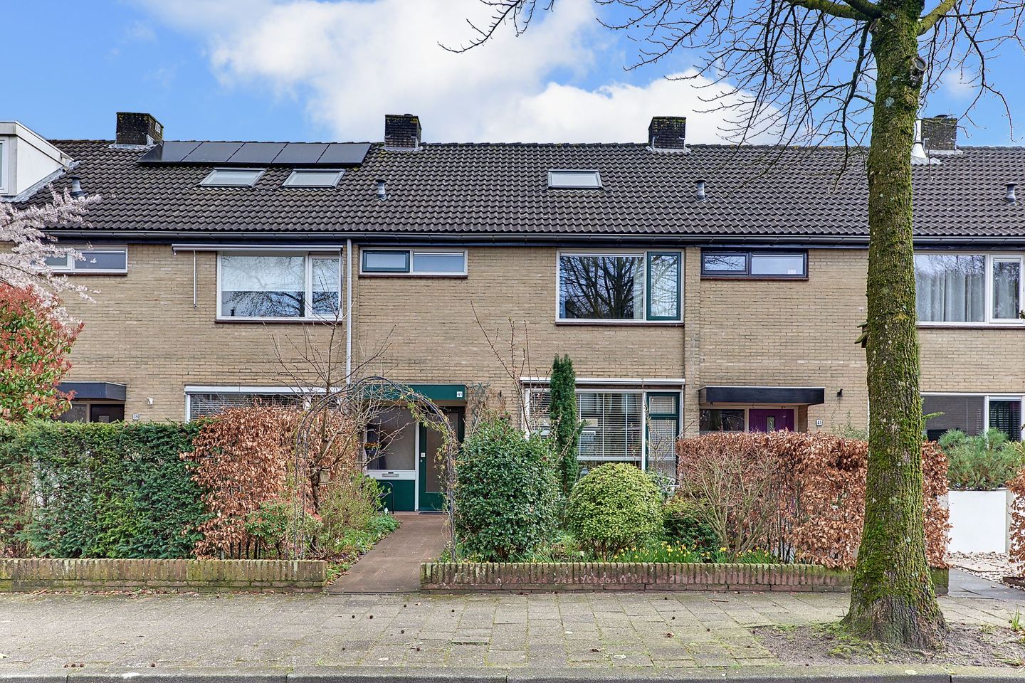 Photo 1 of Eisenhowerlaan 41