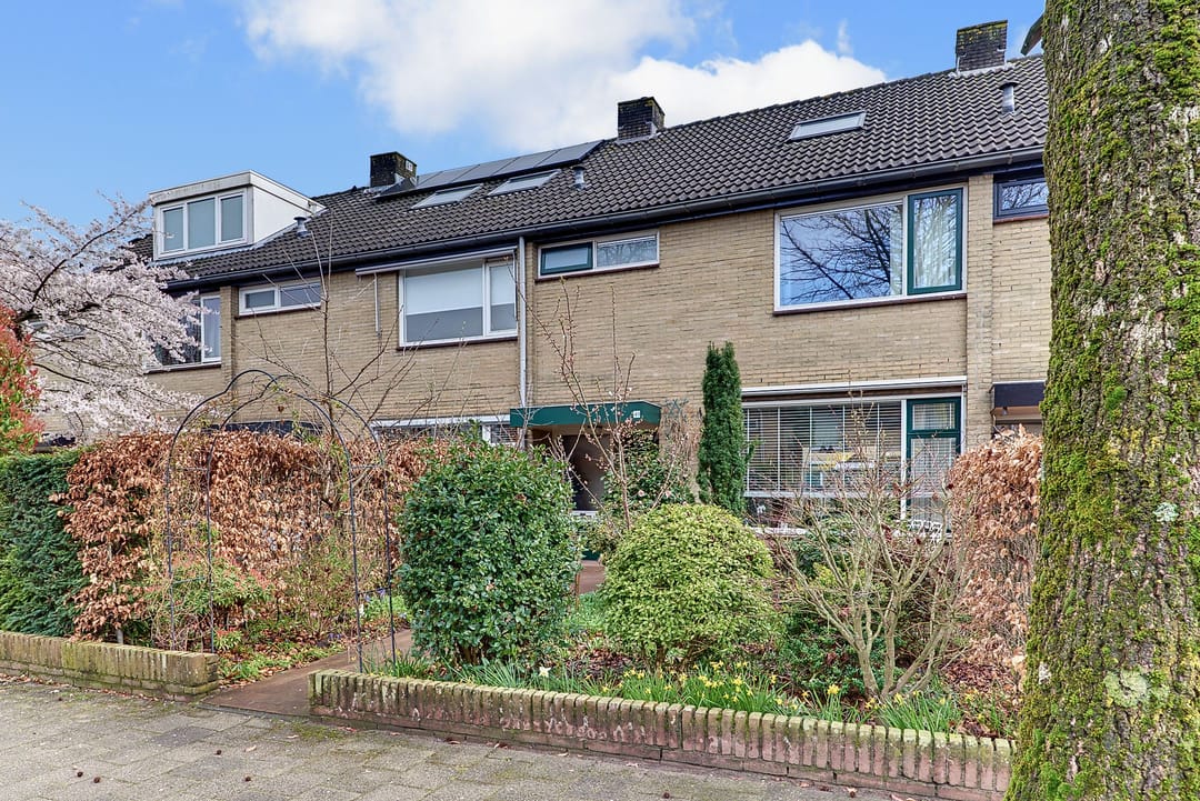 Foto 47 van Eisenhowerlaan 41