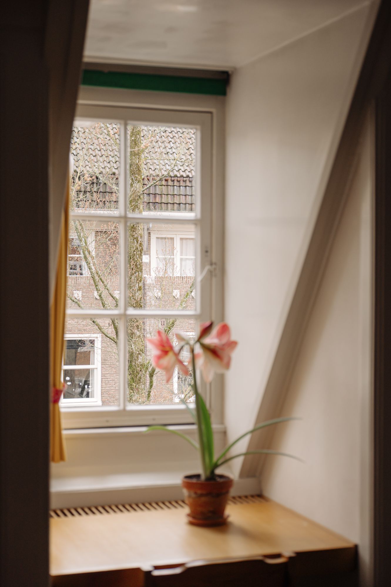 Foto 24 van Gerrit van der Veenstraat 128