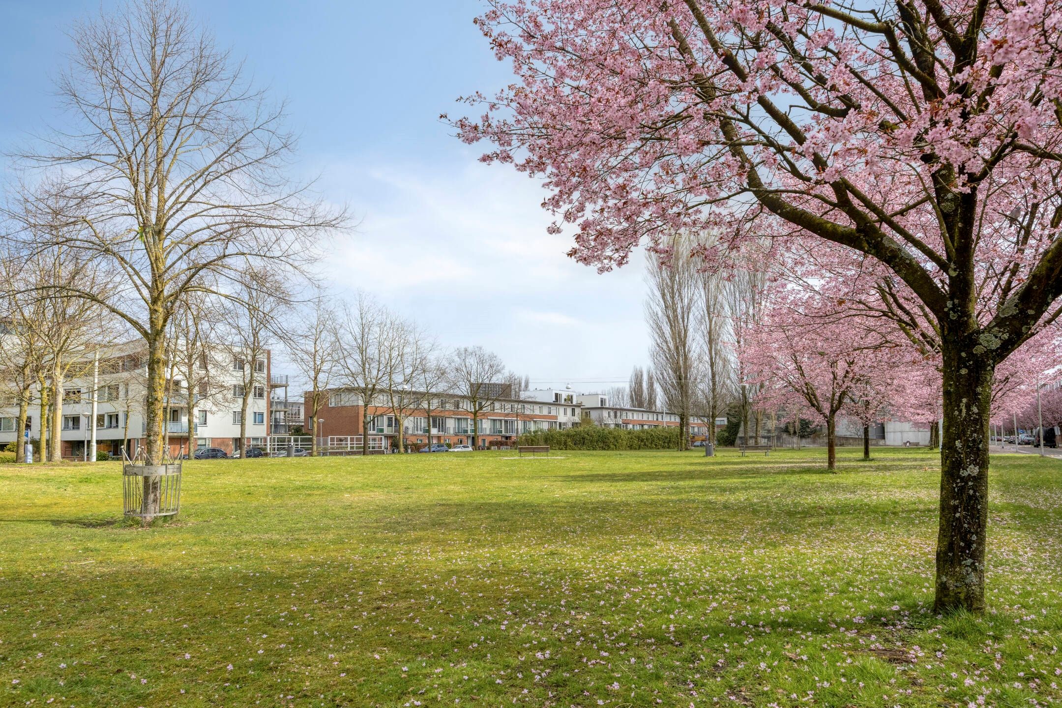 Foto 24 van Isaak Gosseshof 12-2