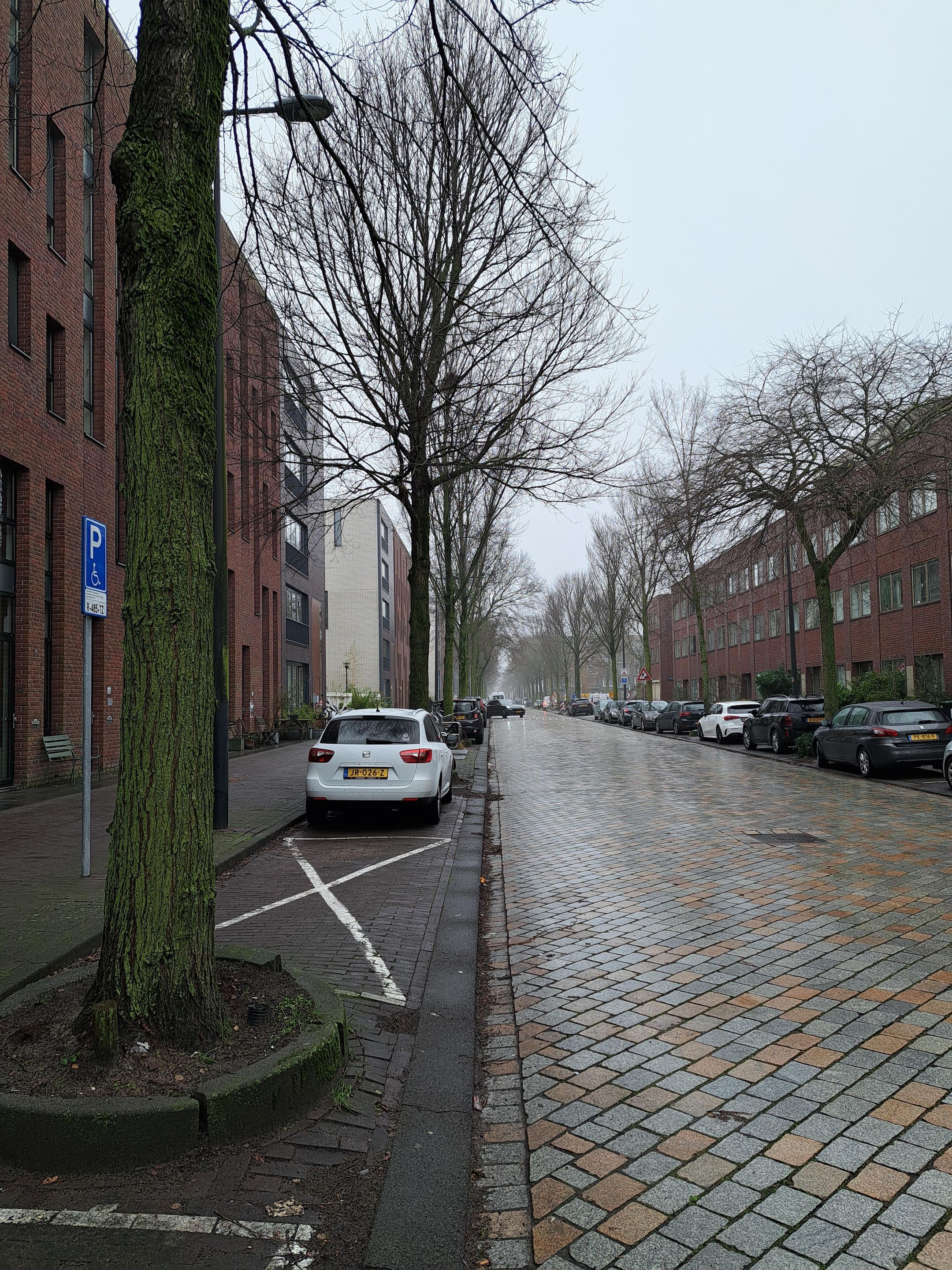 Photo 3 of Erich Salomonstraat 550
