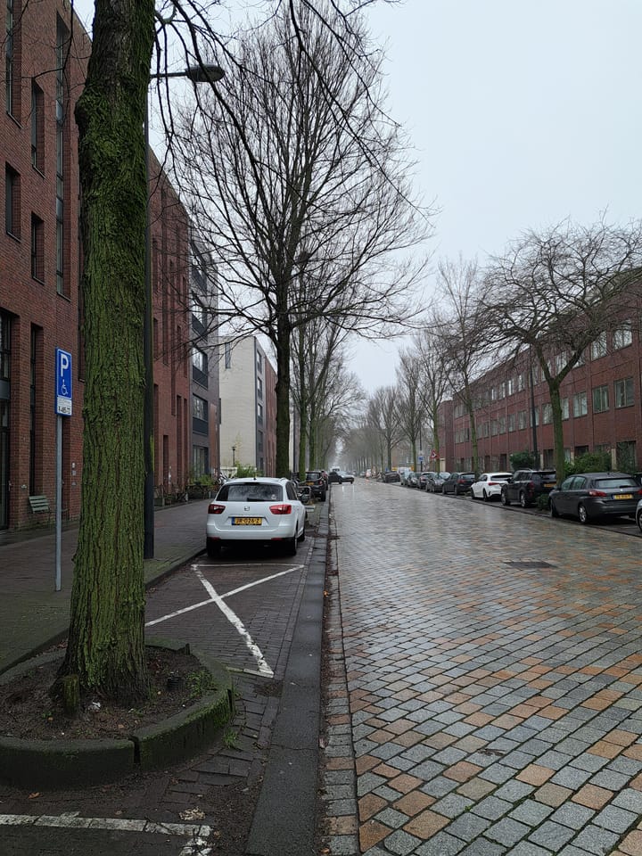 Foto 3 van Erich Salomonstraat 550