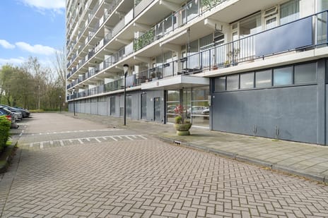 Eksterlaan thumbnail