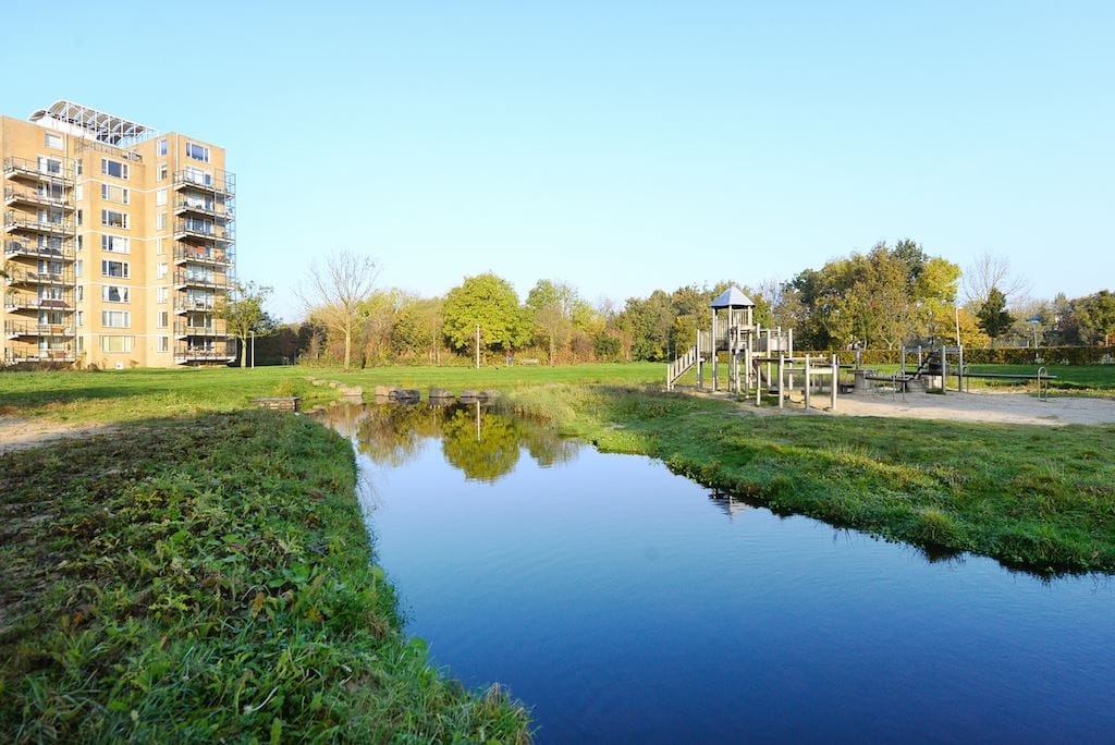 Photo 34 of Zuster Meijboomstraat 83