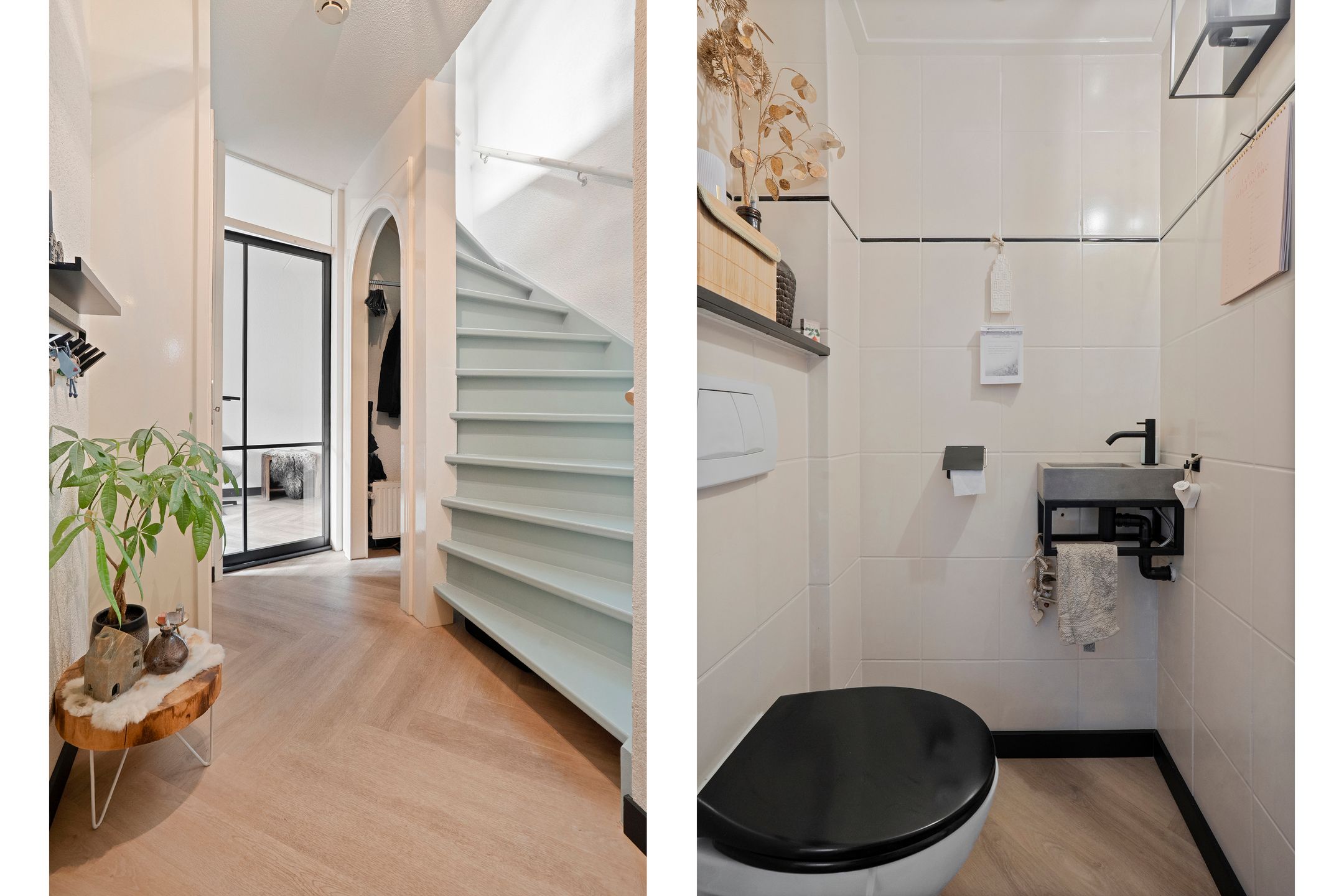 Photo 9 of Jupiter 28