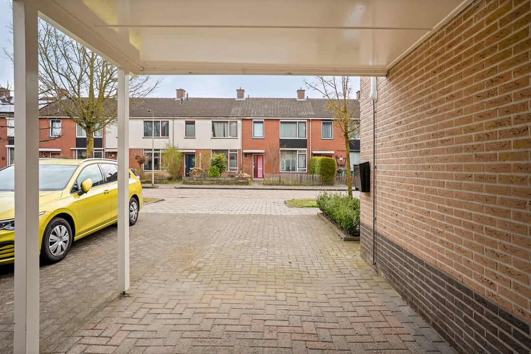 Photo 8 of Jupiter 28