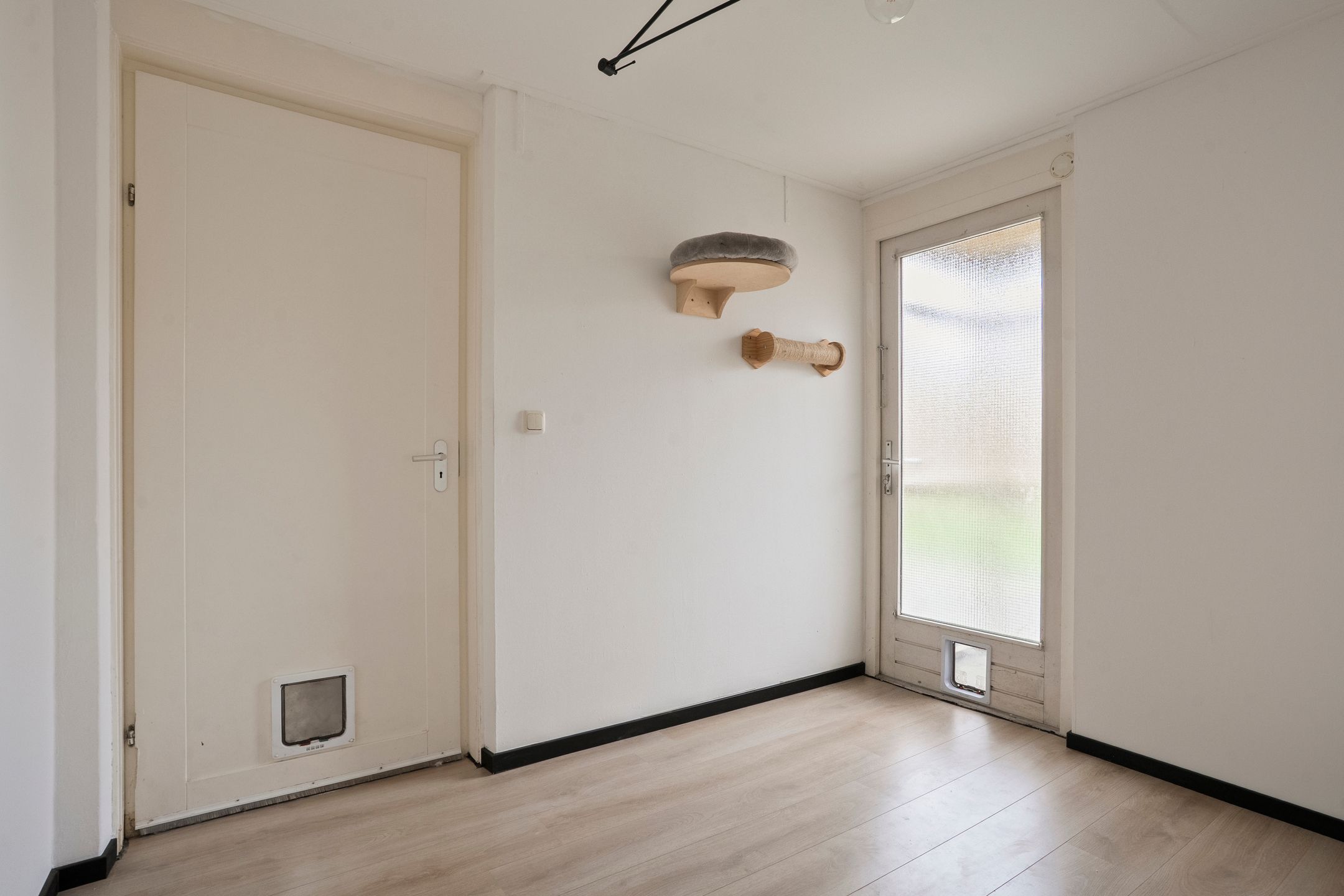 Photo 24 of Jupiter 28