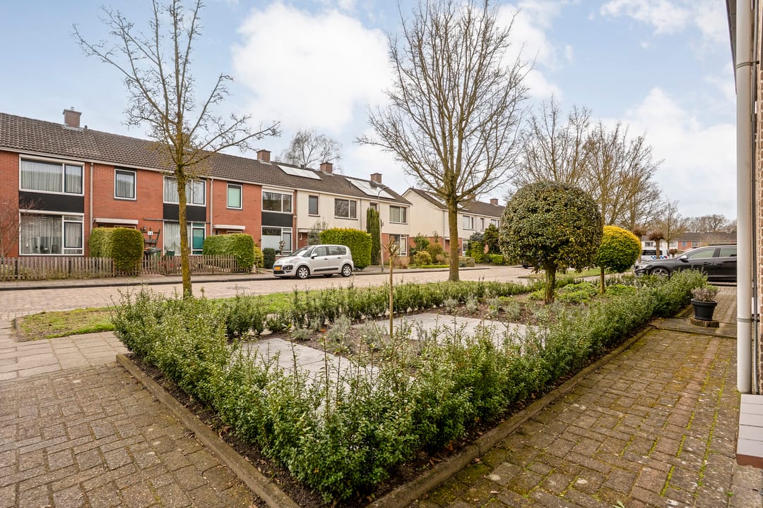 Photo 52 of Jupiter 28