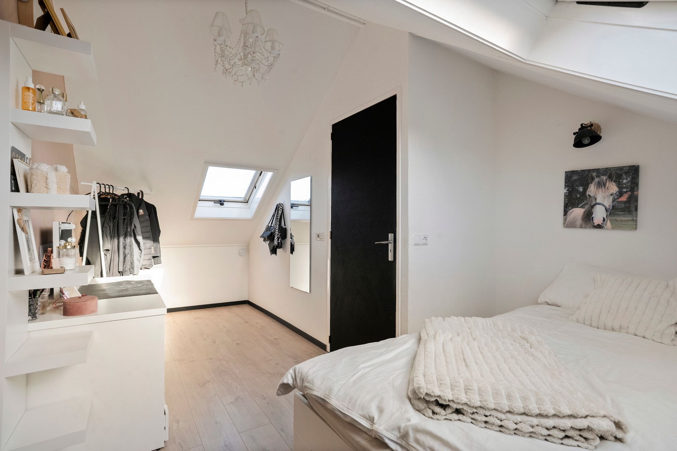 Photo 39 of Jupiter 28