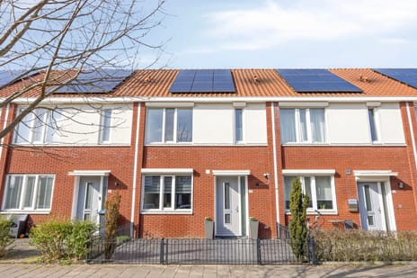 Waterlelielaan thumbnail