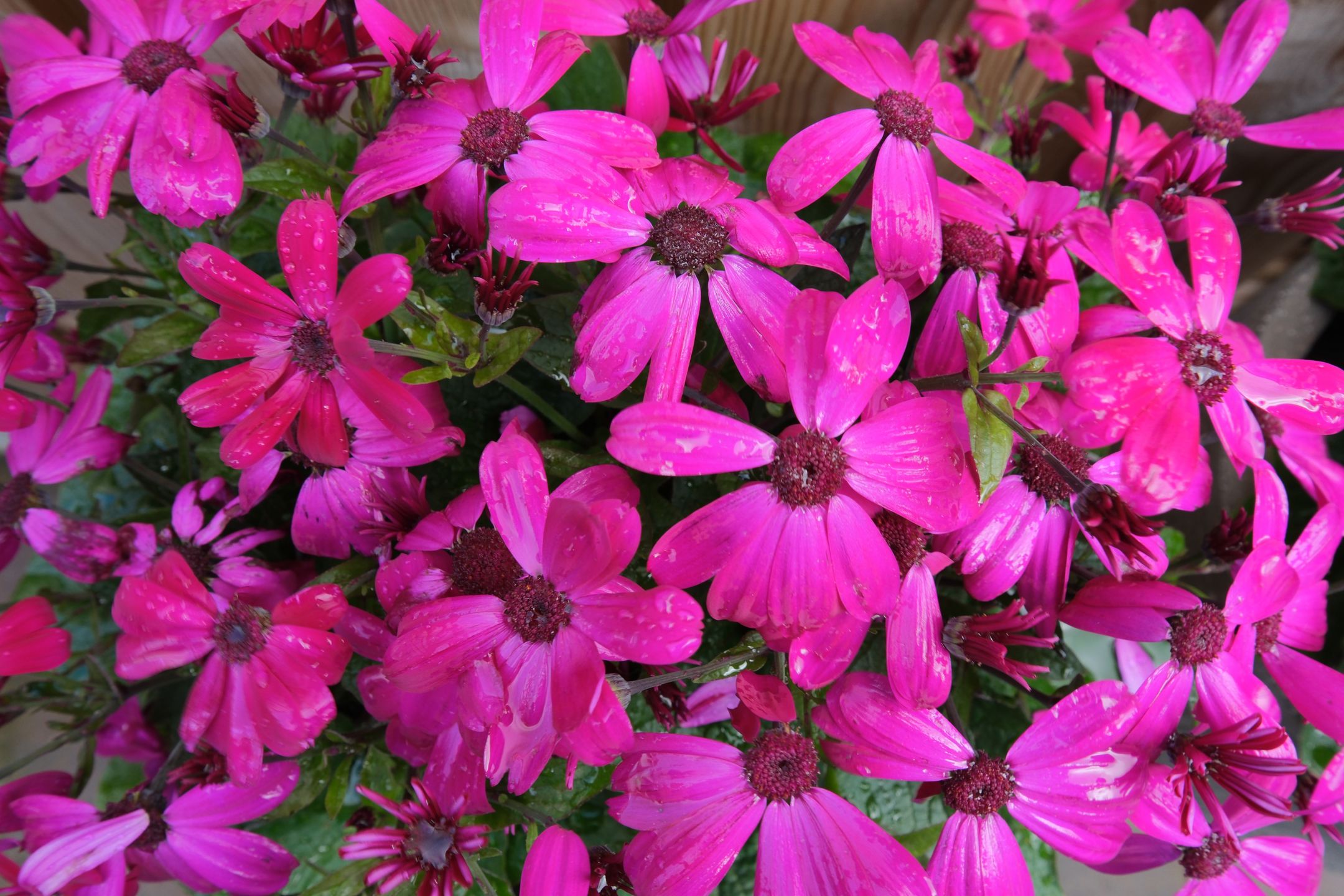 Photo 33 of Oude Vriezenveenseweg 13