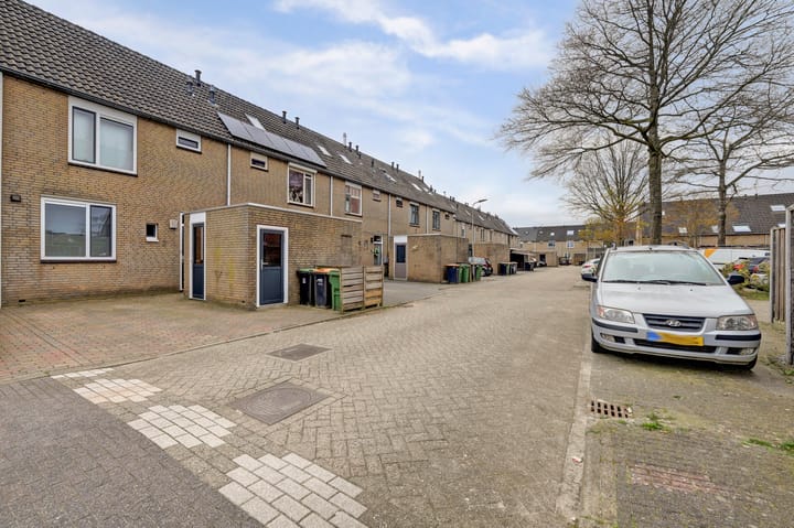 Foto 4 van De Punter 5