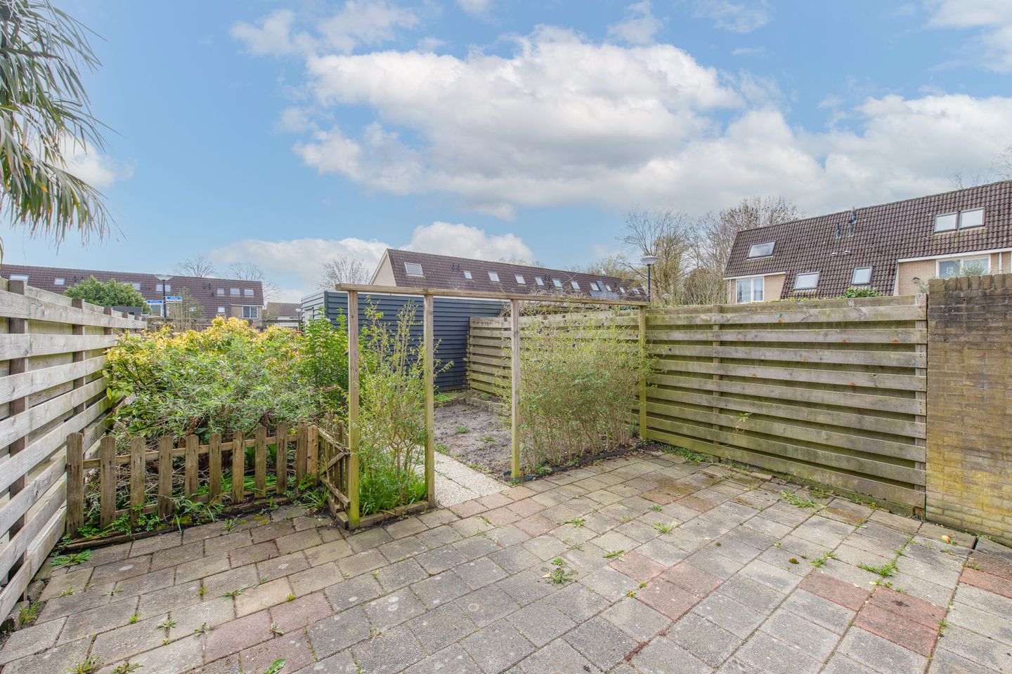 Photo 29 of Mosagaat 4