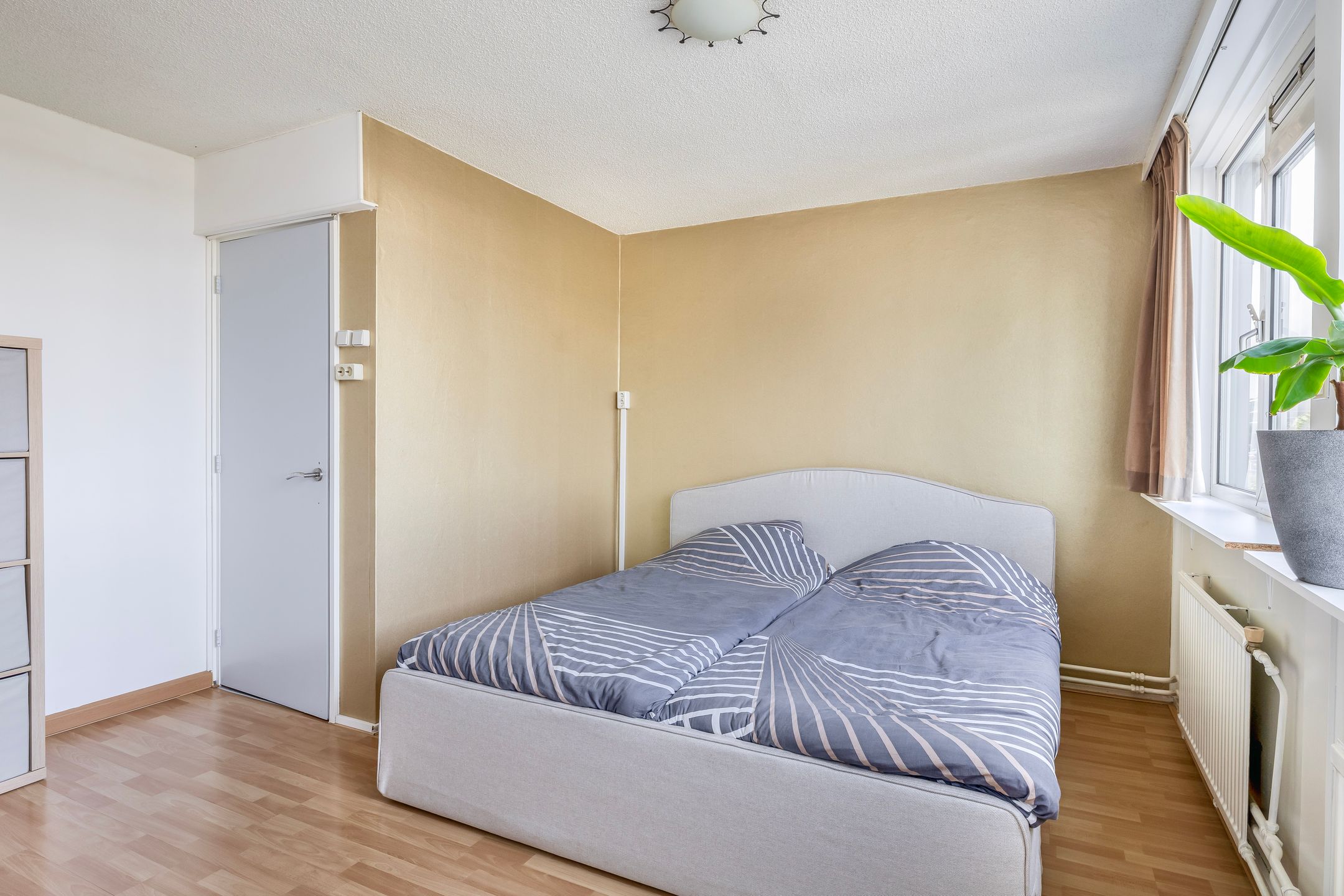 Foto 24 van Kalmoesstraat 63