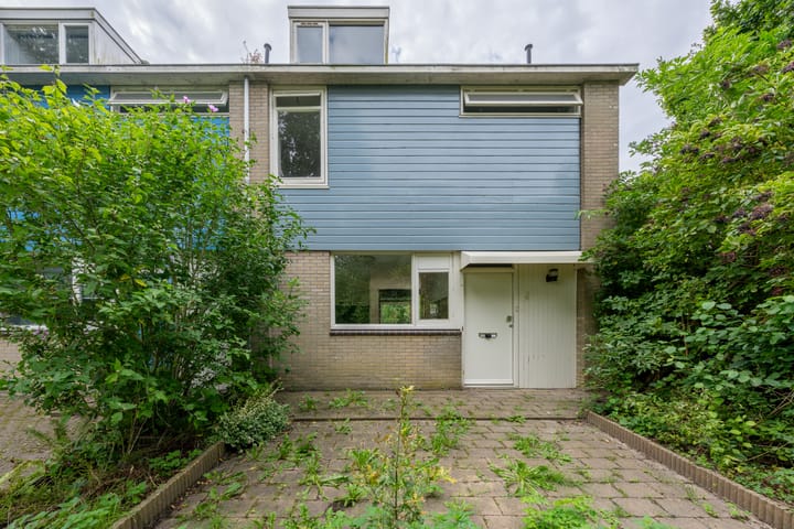 Photo 3 of Granaat 4