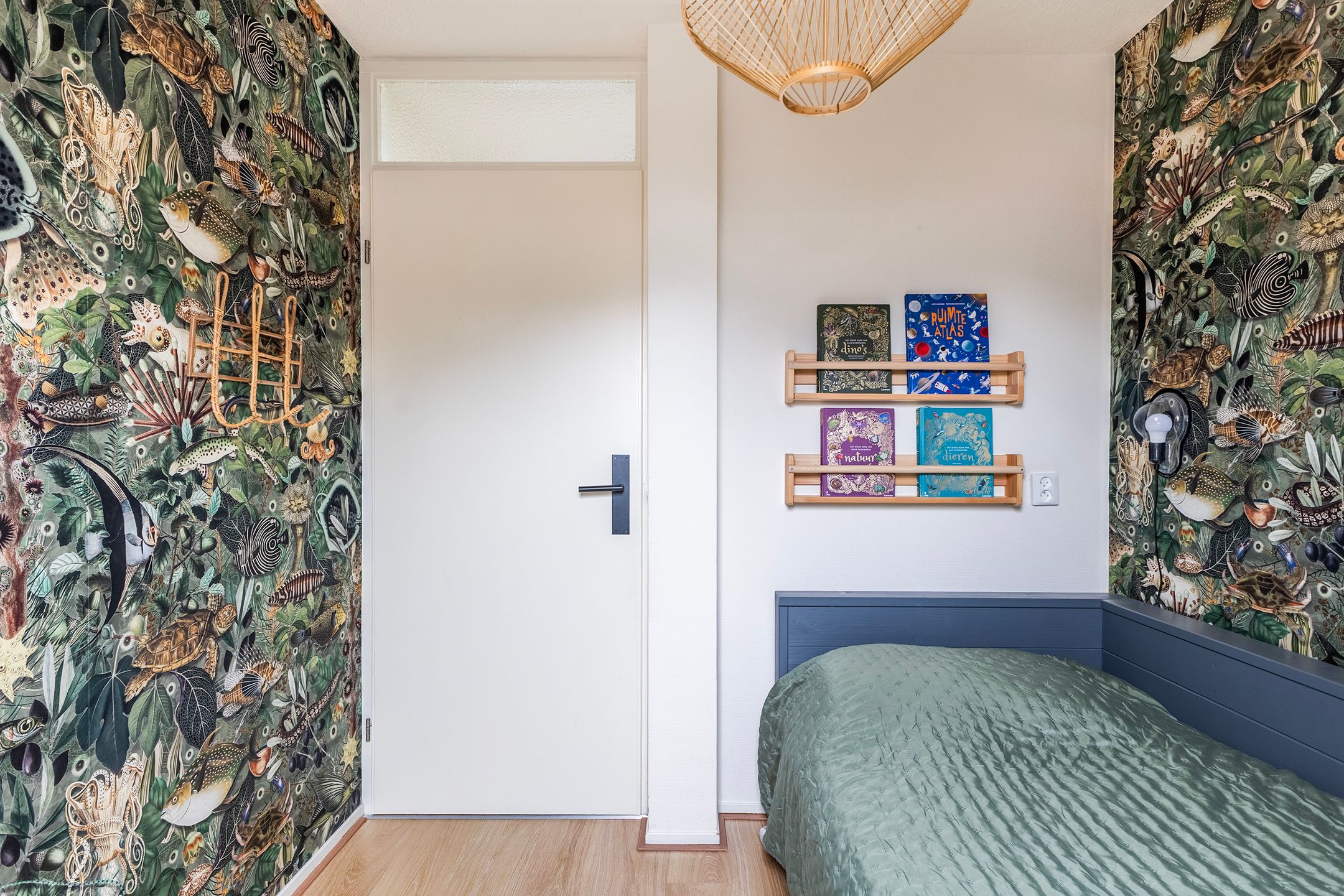 Foto 39 van de Trije 1