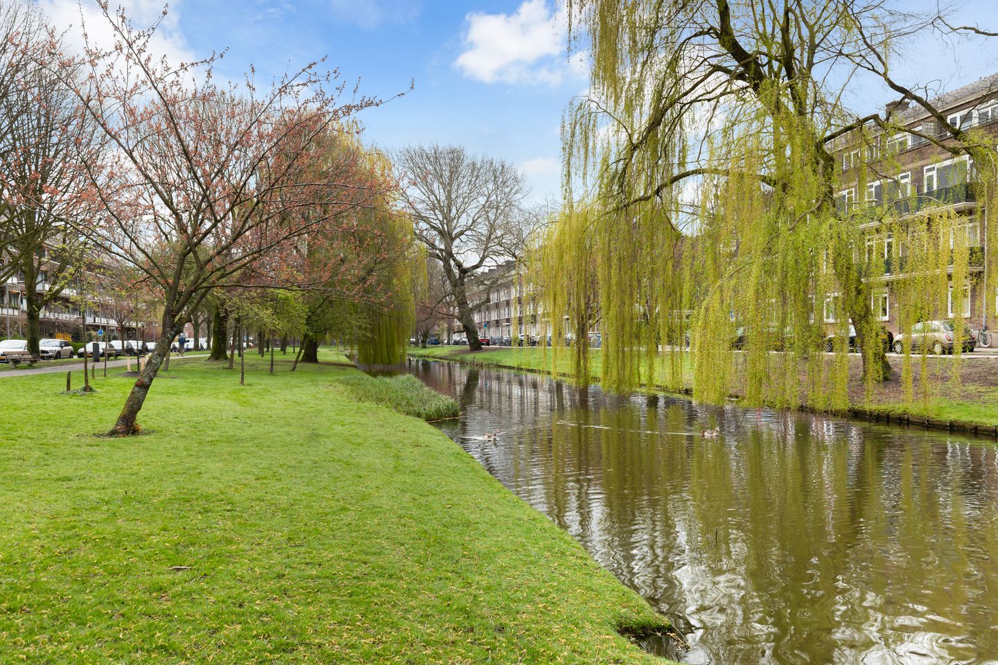 Foto 65 van Dresselhuysstraat 19-B