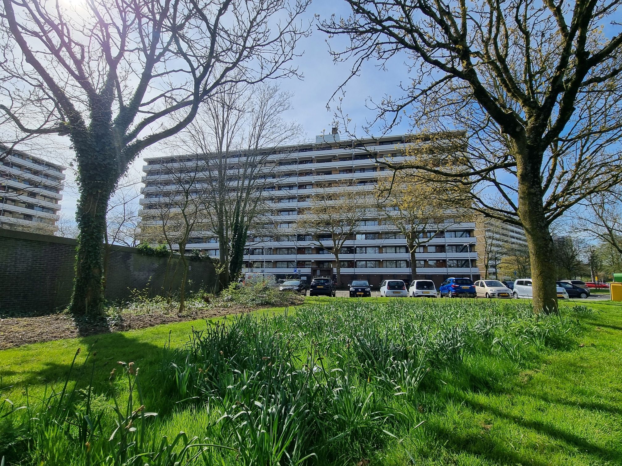 Photo 30 of Seringenplantsoen 511