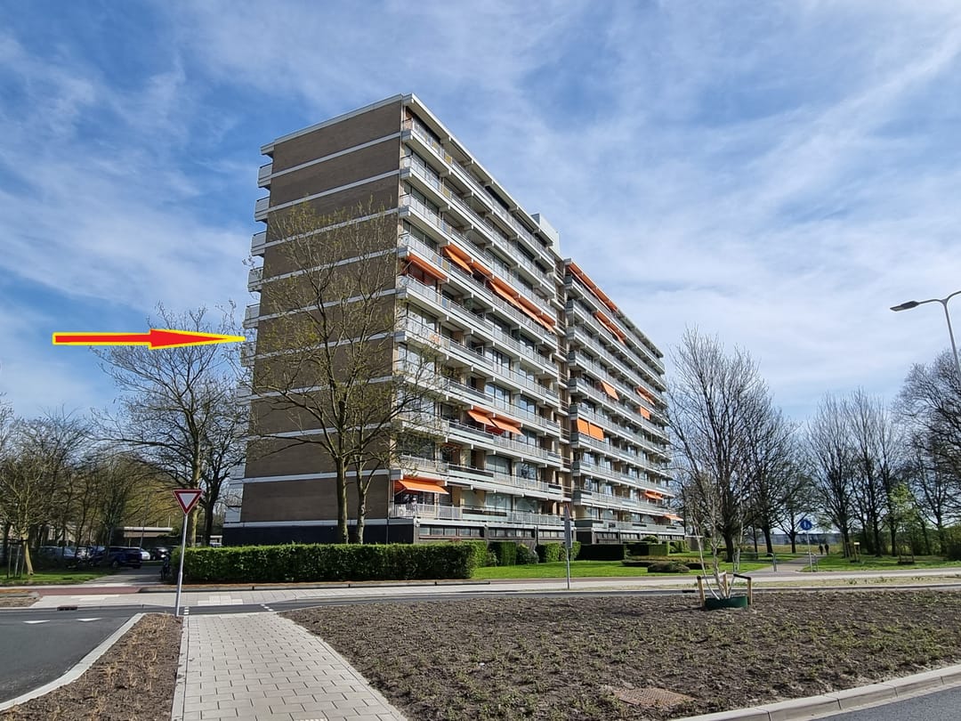 Photo 1 of Seringenplantsoen 511