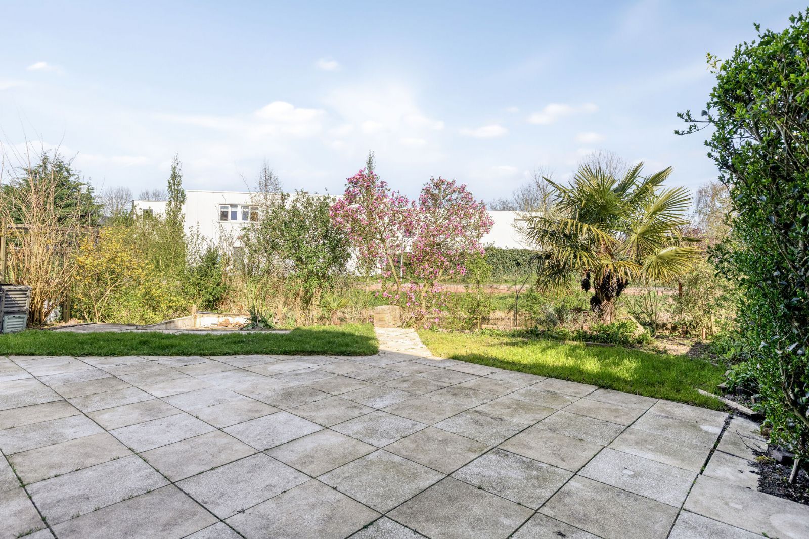 Foto 3 van Ringspoor 91