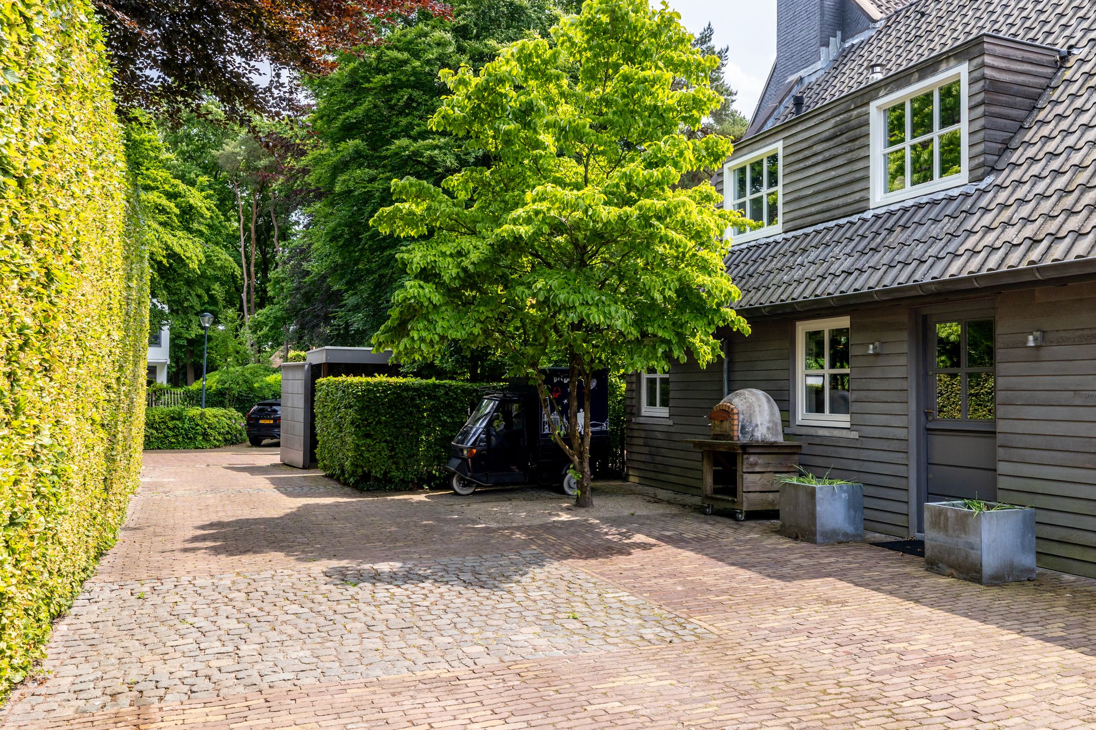 Photo 6 of Montenspark 2-B